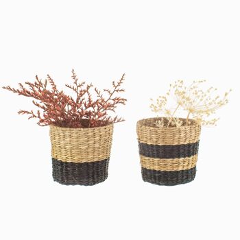 Mini Jardinières en Jonc de Mer Noir - Lot de 2 2