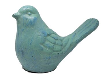 Oliver Bird - Moyen - Turquoise 1