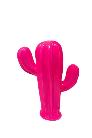 Cactus Néon - Rose Fluo - Petit