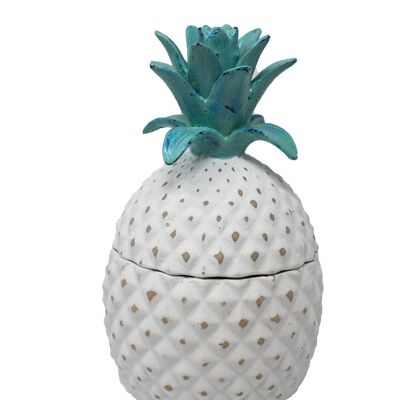 Pot de Conservation Ananas - Moyen