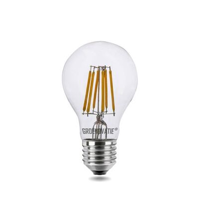 E27 LED Filament bulb 6W Warm White Dimmable
