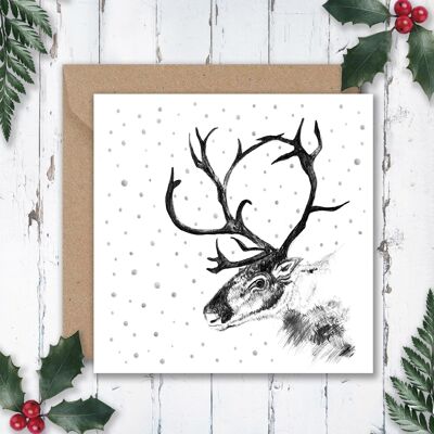 Reindeer and Snow