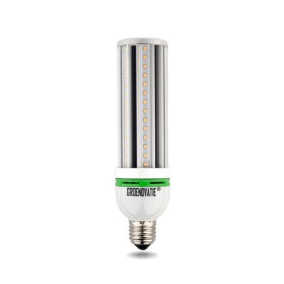 Lampadina LED E27 mais/mais 15W bianco caldo