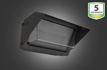 Applique LED Pro 60W