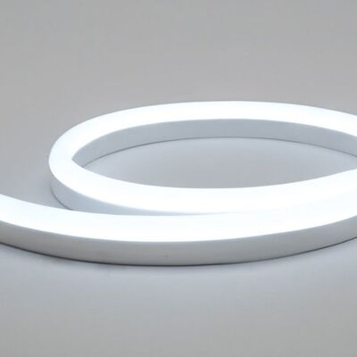 LED Neon Flex 230V, Bianco Freddo, 1 Metro, 8 Watt/metro, Impermeabile IP67