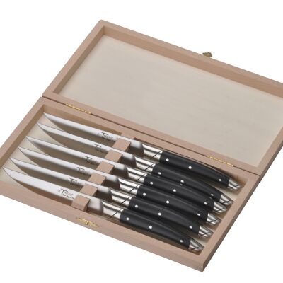 Coffret de 6 couteaux de table Le Thiers Avantage, Paperstone noir