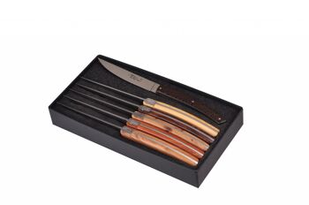 Boîte de 6 couteaux de table Thiers Pirou Brasserie, bois assortis 1