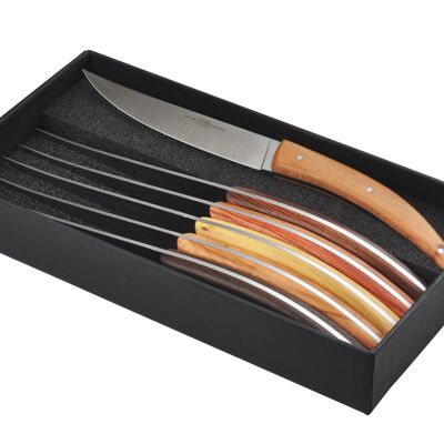 Box of 6 Stylver Brasserie table knives, assorted wood