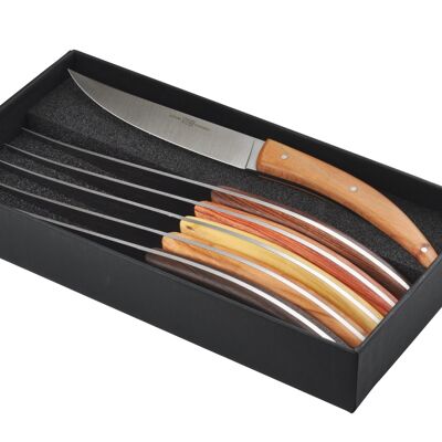 Box of 6 Stylver Brasserie table knives, assorted wood