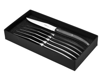 Boîte de 6 couteaux de table Laguiole Brasserie, Paperstone noir