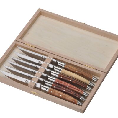 Set of 6 Le Thiers Avantage table knives, Assorted wood