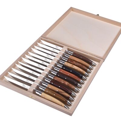Box of 12 Le Thiers Avantage table knives, Assorted wood