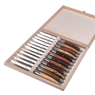 Box of 12 Le Thiers Avantage table knives, Assorted wood