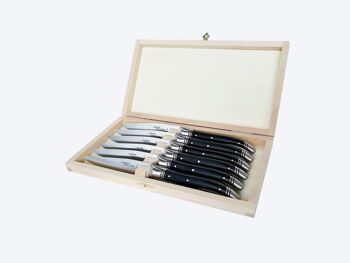 Coffret de 6 couteaux de table Laguiole Avantage, Paperstone noir 1