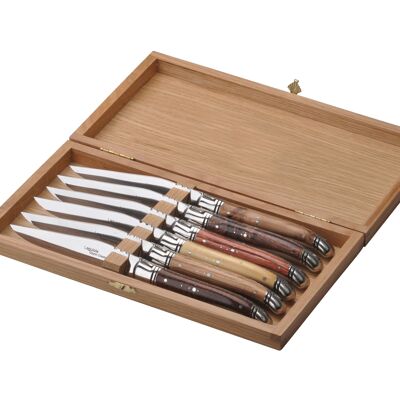 Schachtel mit 6 Laguiole Prestige-Messern aus verschiedenem Holz