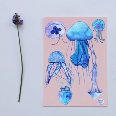 Postal, medusa