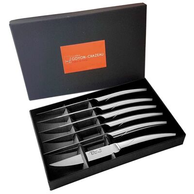 Box of 6 Le Thiers table knives, all brushed monobloc stainless steel