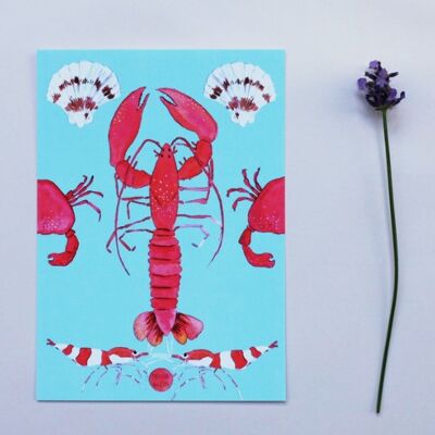Postcard lobster