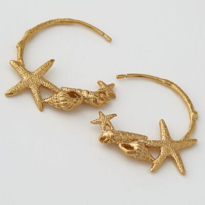 Starfish & Shell Hoop Earrings - Gold plate