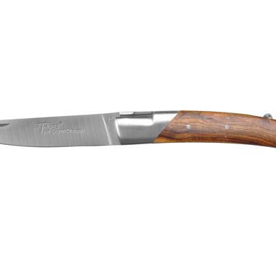 Le Thiers Pirou pocket knife, 12cm, corkscrew, Pistachio