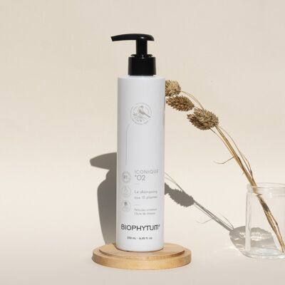 ICONIC 02 shampoo with 12 plants 250 ml