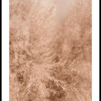 Póster fotográfico pastos beige - 21 x 30 cm