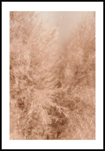 Affiche photographie graminées beige - 30 x 40 cm 1