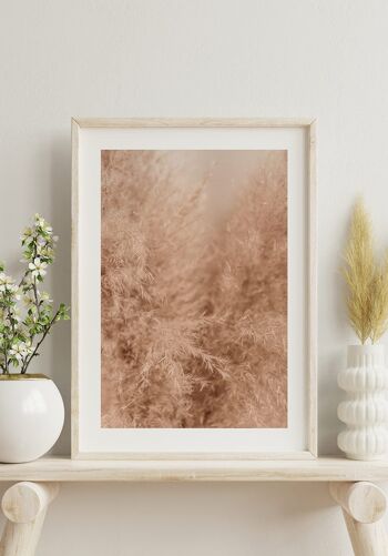 Affiche photographie graminées beige - 50 x 70 cm 6