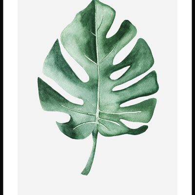 Poster Monstera Deliciosa Pflanze - 30 x 21 cm