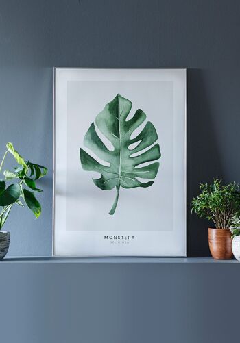 Affiche Plante Monstera Deliciosa - 30 x 21 cm 5