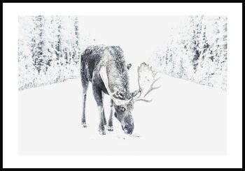 Affiche Renne dans la neige - 30 x 40 cm 1