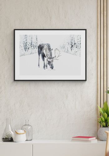 Affiche Renne dans la neige - 30 x 40 cm 3