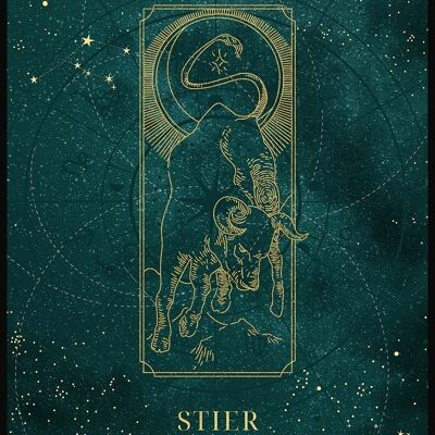 Poster dello zodiaco della luna mistica - 21 x 30 cm - Toro