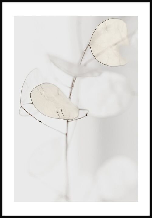 Weiß-Goldene Blätter Poster - 30 x 40 cm