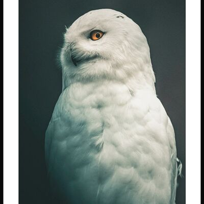 White Snowy Owl Poster - 21 x 30 cm