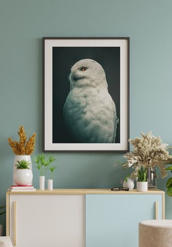 Affiche Harfang des neiges blanc - 40 x 50 cm 6