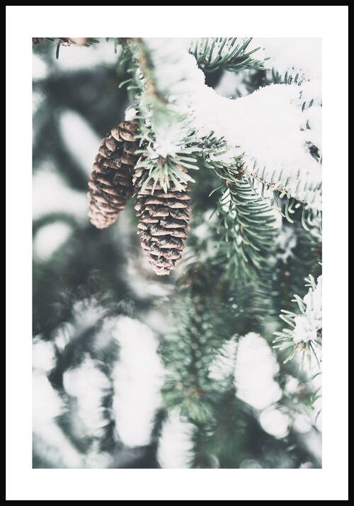 Tannenzapfen im Winter Poster - 50 x 70 cm