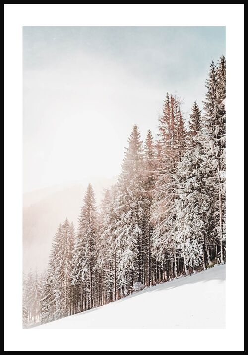 Schneebedeckte Bäume im Winter Poster - 21 x 30 cm