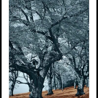 Blue Trees Brown Ground Poster - 30 x 21cm