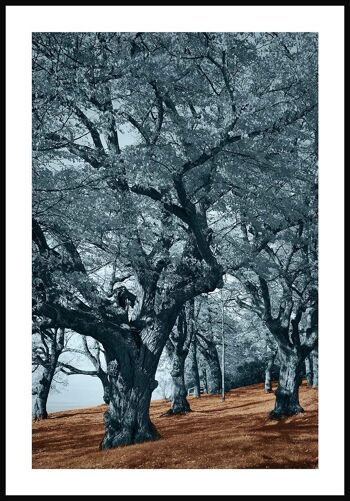 Affiche Blue Trees Brown Ground - 40 x 30 cm 1