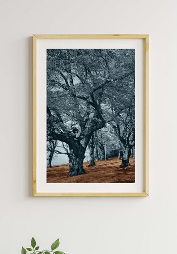 Affiche Blue Trees Brown Ground - 40 x 30 cm 3