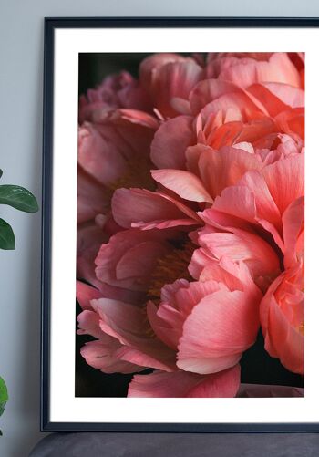 Affiche photographie florale avec fleurs roses - 21 x 30 cm 2