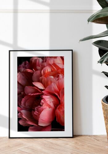 Affiche photographie florale avec fleurs roses - 21 x 30 cm 4