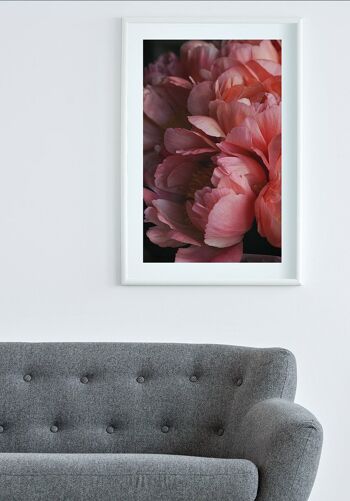Affiche photographie florale avec fleurs roses - 21 x 30 cm 5