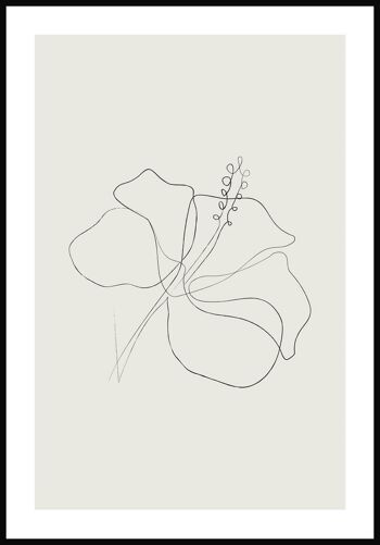 Affiche Dessin au Trait Fleur d'Hibiscus - 21 x 30 cm - Vert Olive 1