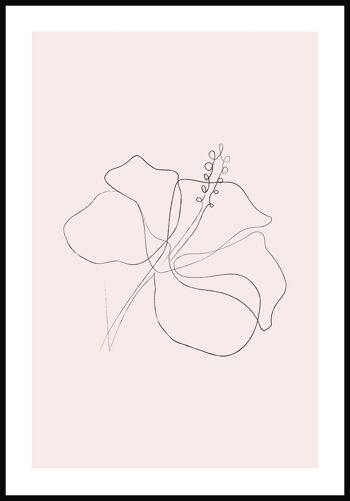 Affiche Line Art Fleur d'Hibiscus - 30 x 40 cm - Rose 1