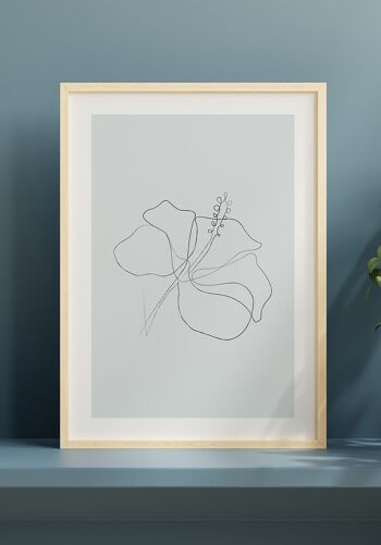 Affiche Line Art Fleur d'Hibiscus - 30 x 40 cm - Rose 4