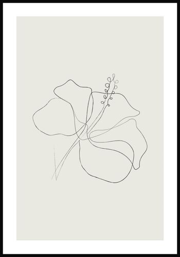 Affiche Dessin au Trait Fleur d'Hibiscus - 30 x 40 cm - Vert Olive 1