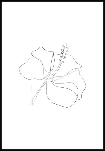 Affiche Dessin au Trait Fleur d'Hibiscus - 30 x 40 cm - Blanc 1