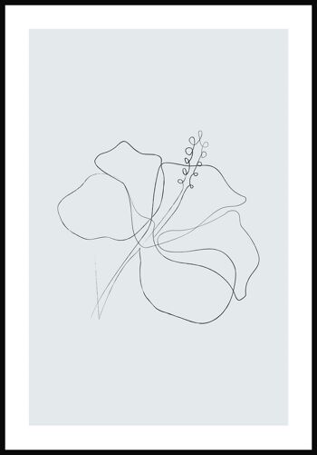 Affiche Line Art Hibiscus Blossom - 70 x 100 cm - Gris-Bleu 1